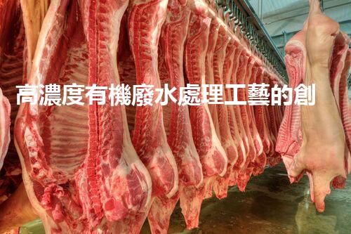 高濃度有機廢水處理工藝的創(chuàng)新與突破？